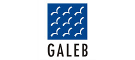 Galeb